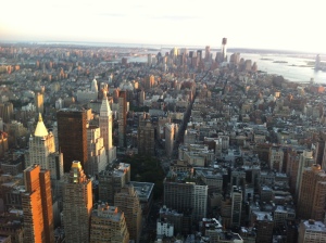 View of NYC from Empire State Building
